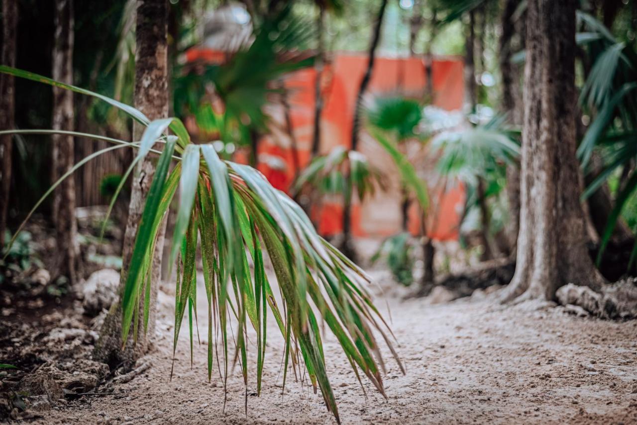 Lunita Jungle Experience Hotel Puerto Morelos Exterior photo