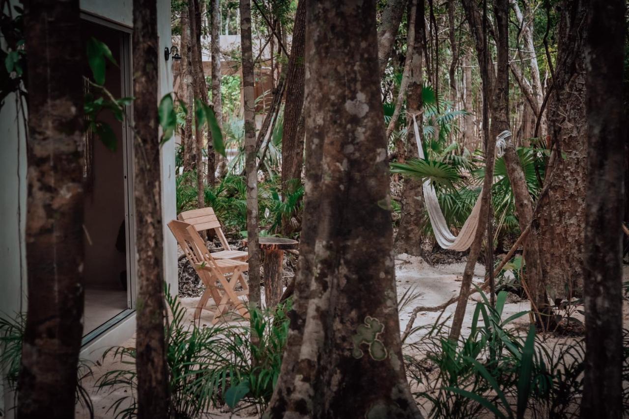 Lunita Jungle Experience Hotel Puerto Morelos Exterior photo